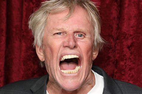 gary busey